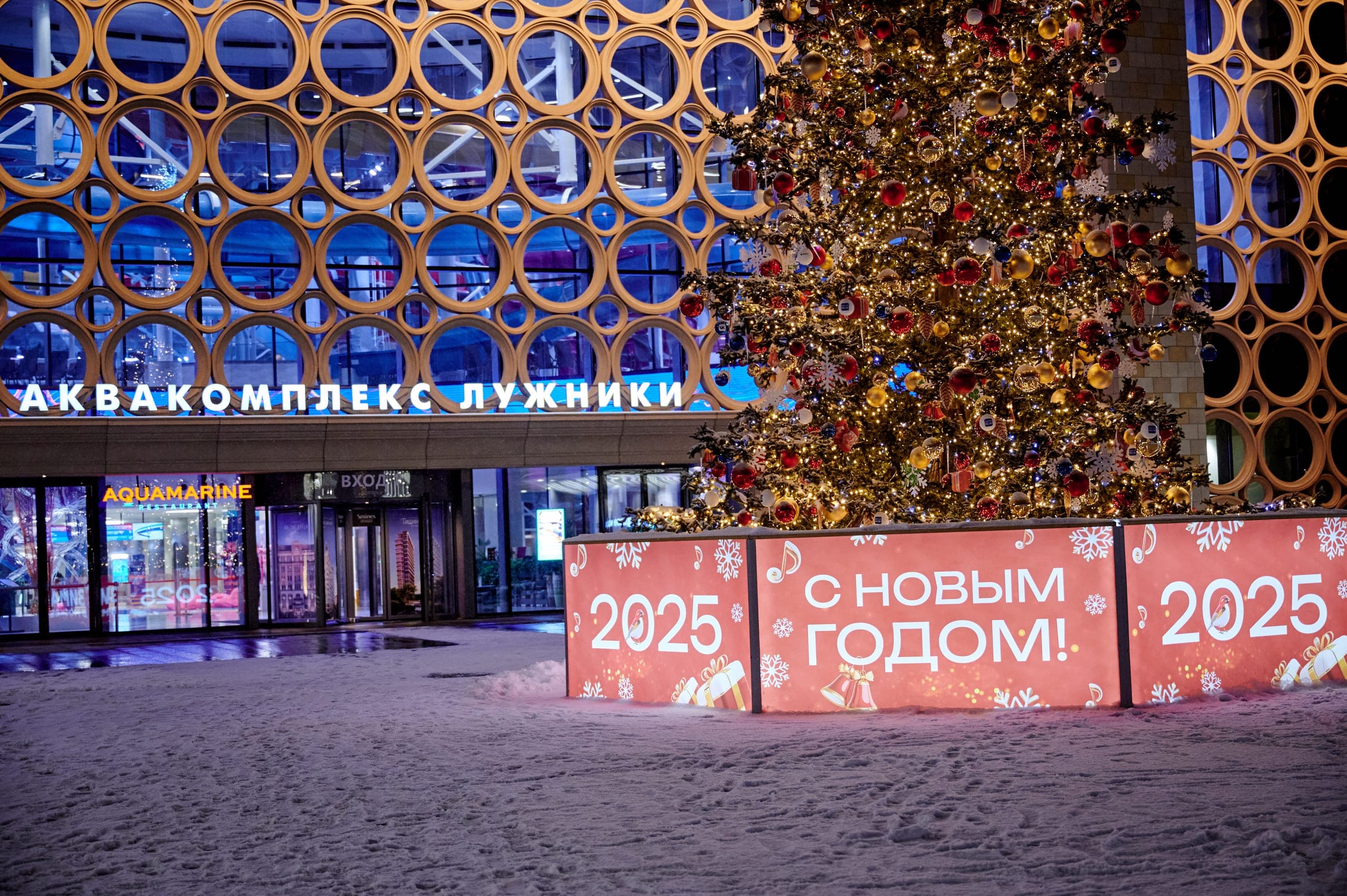 Световая новогодняя ель у катка «Южный полюс» в Лужниках