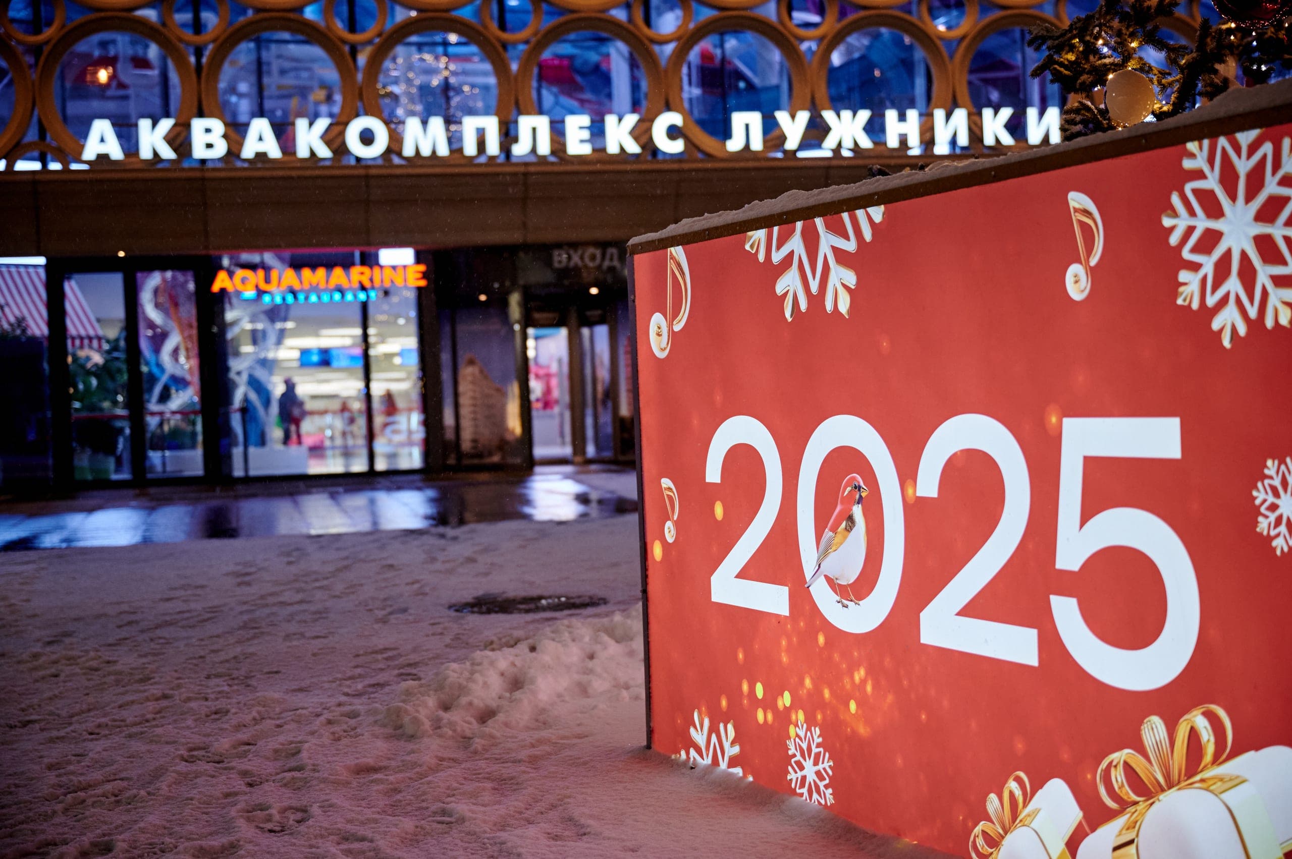 Световая новогодняя ель у катка «Южный полюс» в Лужниках