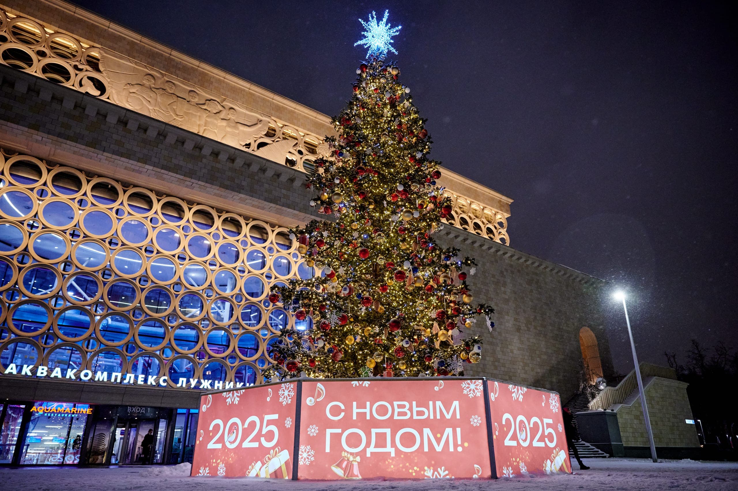 Световая новогодняя ель у катка «Южный полюс» в Лужниках