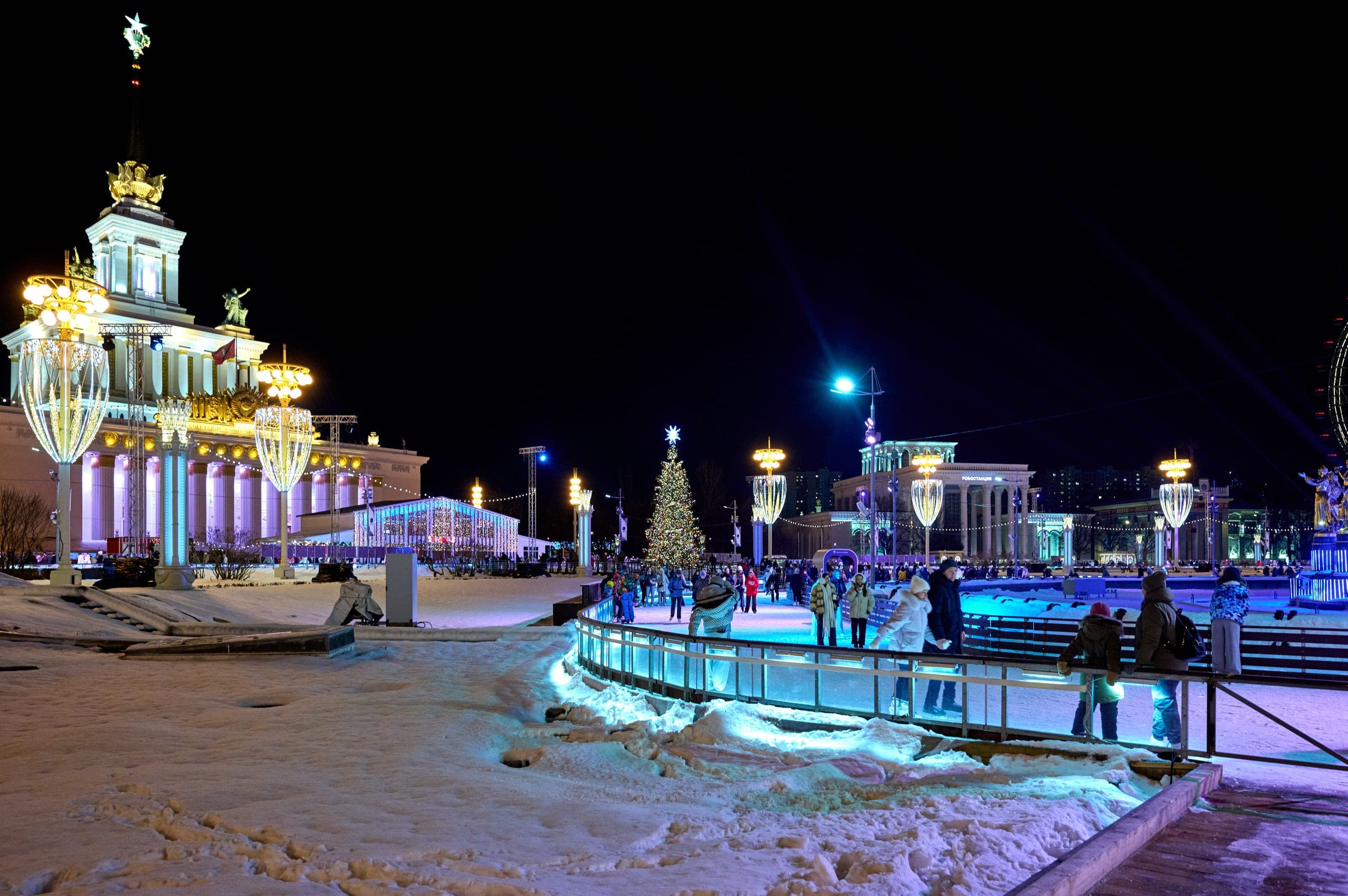 Уникальные декоративные ели на территории ВДНХ