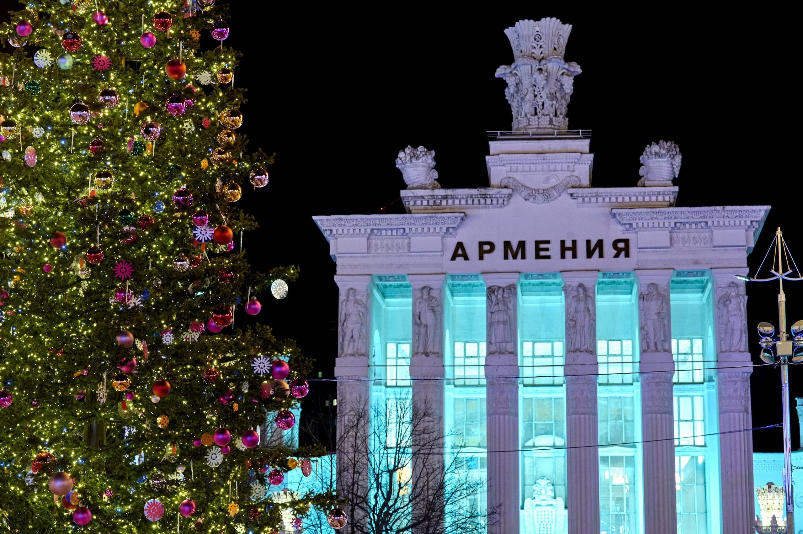 Уникальные декоративные ели на территории ВДНХ