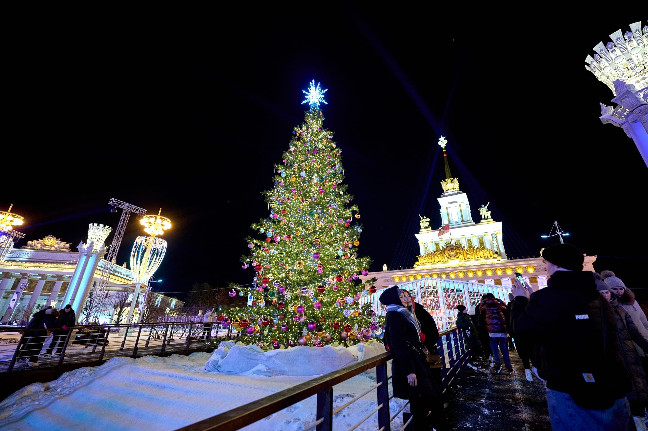 Уникальные декоративные ели на территории ВДНХ