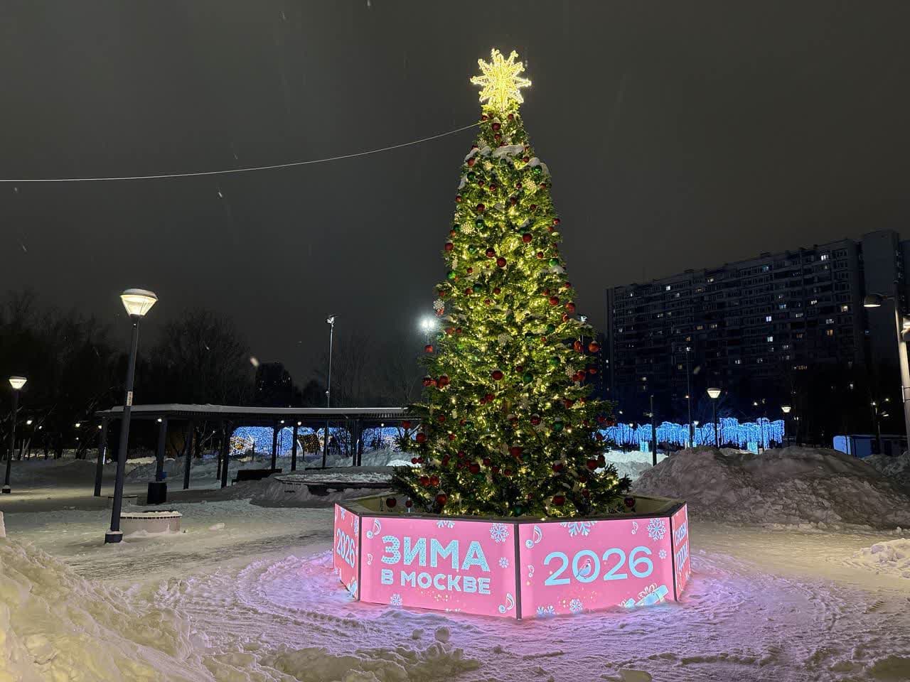 Световая ель в парке «Яуза»